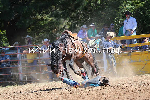 Taralga2015_4843
