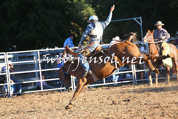 Taralga2015_6703