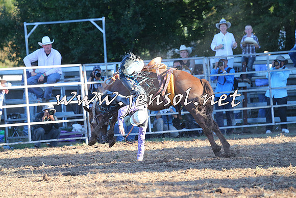 Taralga2015_6784
