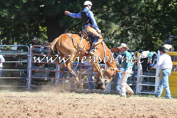 Taralga2015_4942
