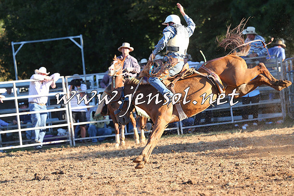 Taralga2015_6691