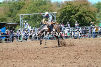 Taralga2015_3479