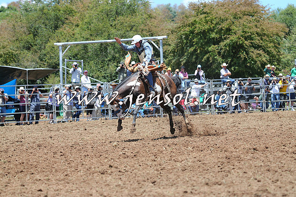 Taralga2015_3479