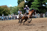Taralga2015_3450