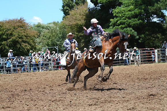 Taralga2015_3450