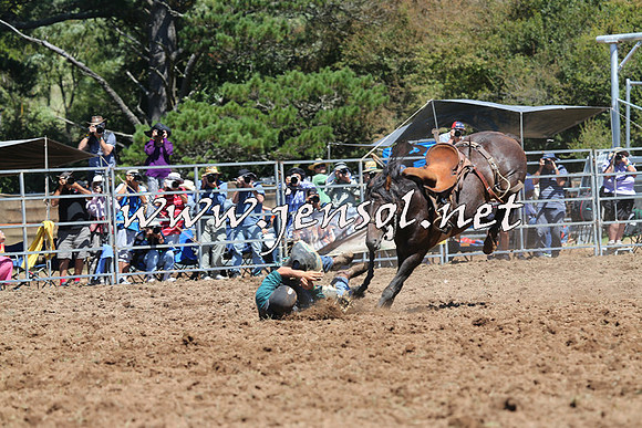 Taralga2015_4419