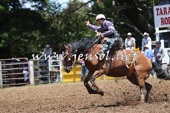 Taralga2015_3442