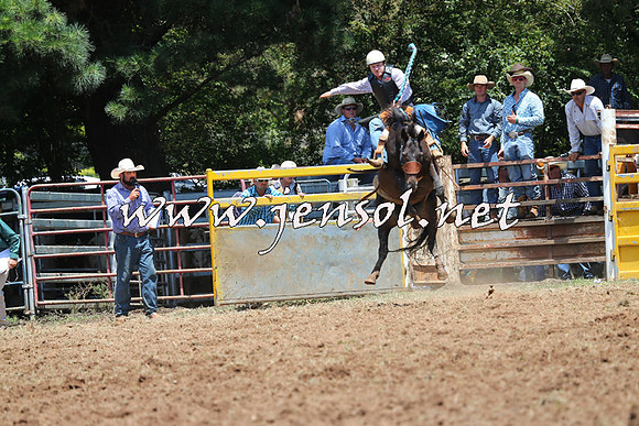 Taralga2015_3606