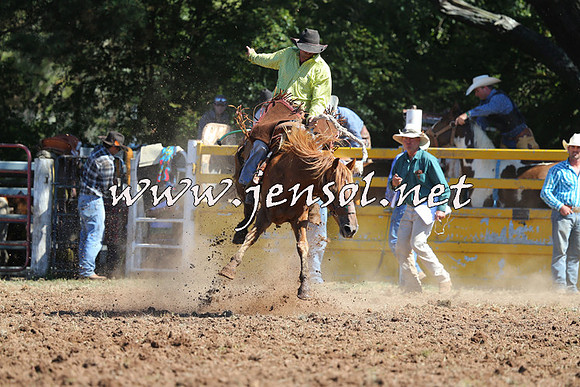 Taralga2015_4959