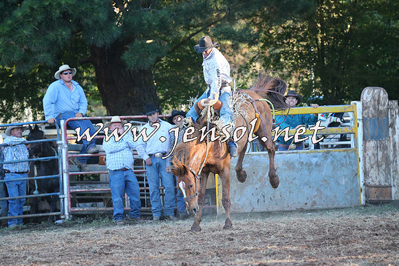 Taralga2015_6888