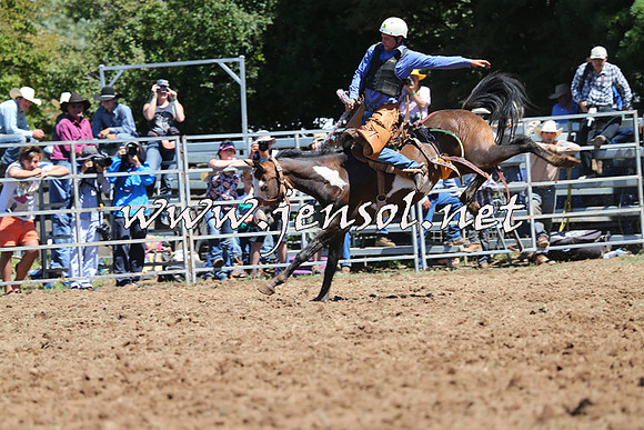Taralga2015_4430