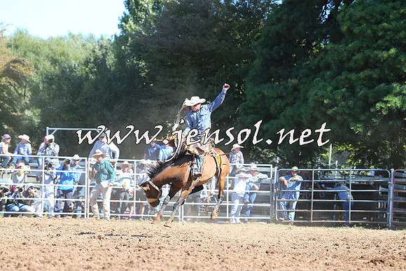 Taralga2015_5049