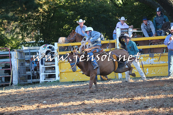 Taralga2015_6683