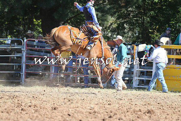 Taralga2015_4944