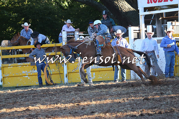 Taralga2015_6667