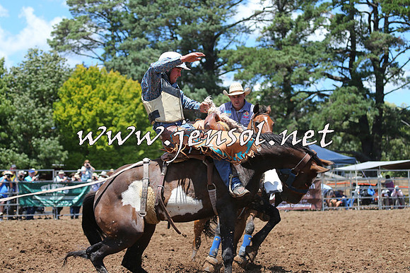 Taralga2015_3508