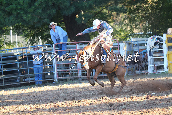 Taralga2015_6678