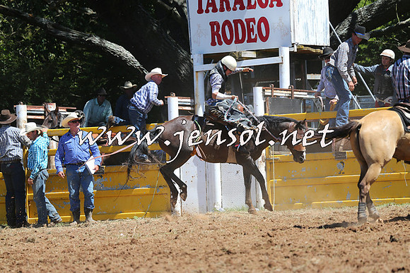 Taralga2015_4332