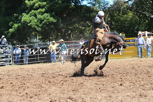 Taralga2015_4520