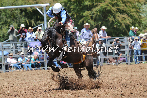 Taralga2015_3544