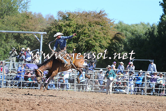 Taralga2015_5054