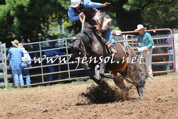 Taralga2015_3519
