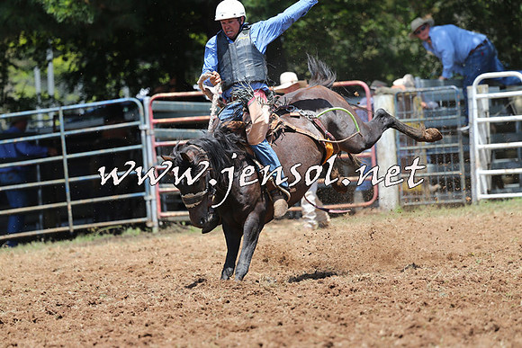 Taralga2015_3520