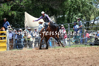Taralga2015_3437