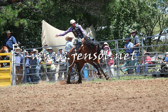 Taralga2015_3437
