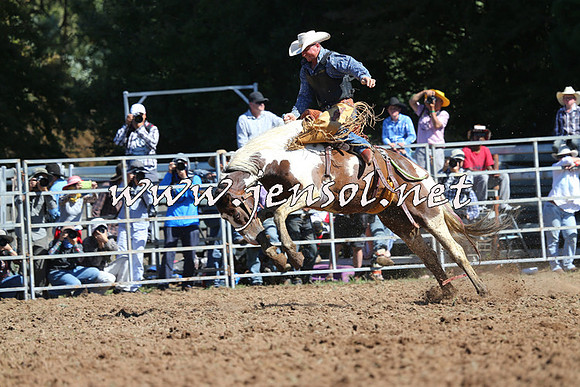 Taralga2015_5083