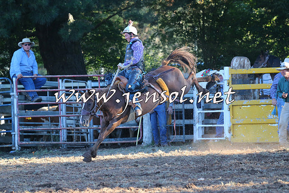 Taralga2015_6780