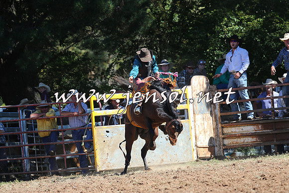 Taralga2015_4838