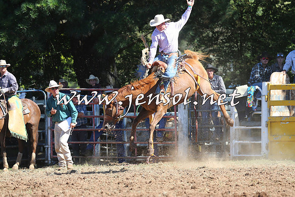 Taralga2015_4867