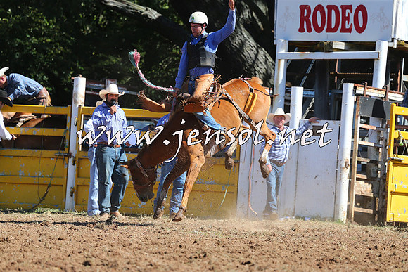 Taralga2015_4917