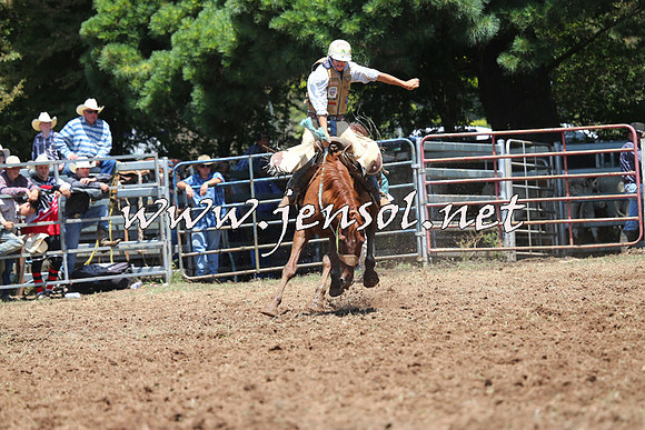 Taralga2015_3584