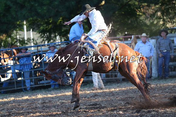 Taralga2015_6843