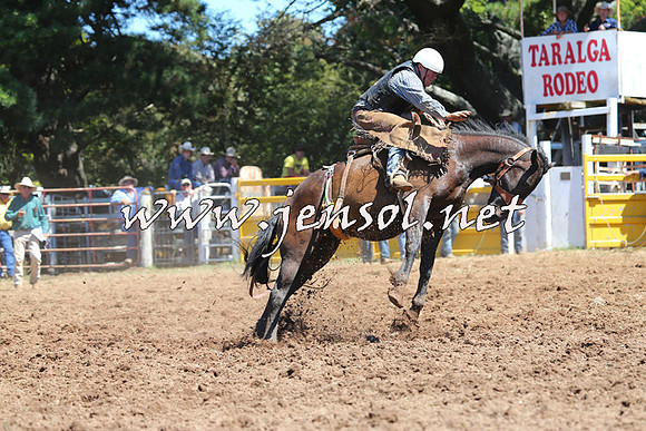 Taralga2015_4508