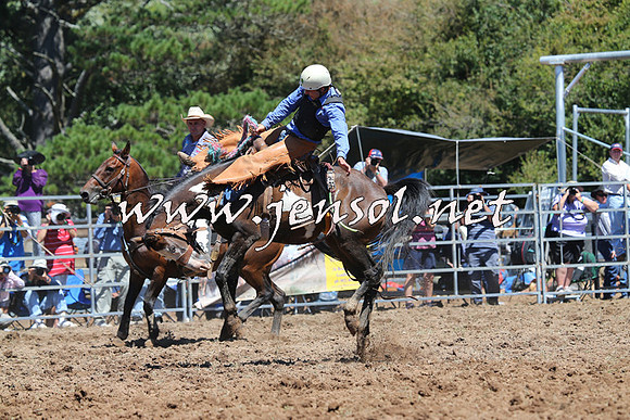 Taralga2015_4472