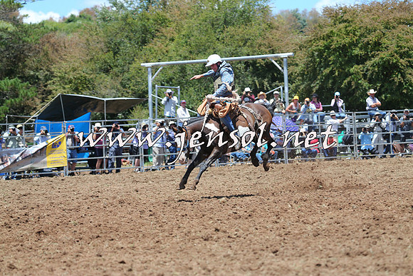 Taralga2015_3482