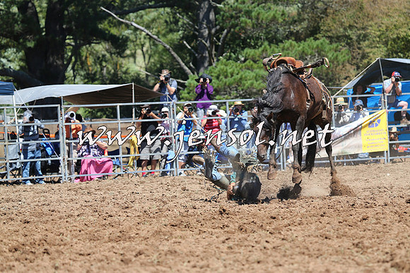 Taralga2015_4410