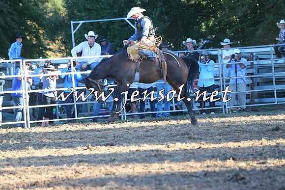 Taralga2015_6812