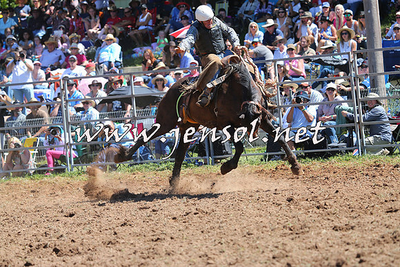 Taralga2015_4530