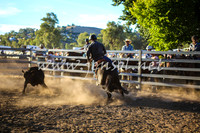 GundagaiCampdraft2017_0411