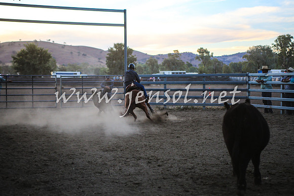 GundagaiCampdraft2017_0505