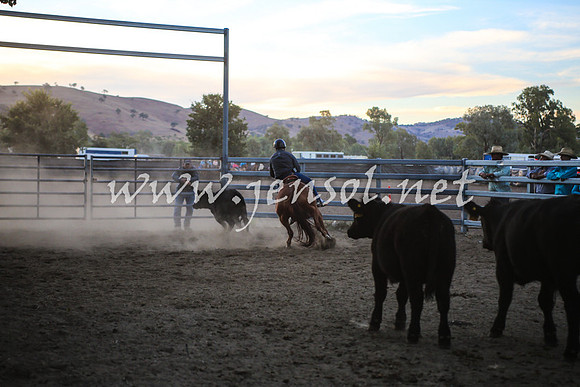GundagaiCampdraft2017_0512