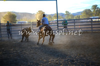 GundagaiCampdraft2017_0478