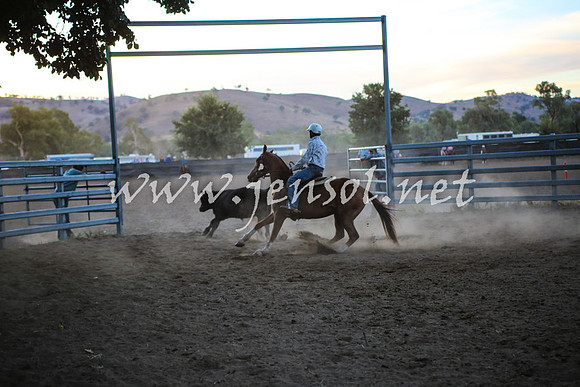 GundagaiCampdraft2017_0539