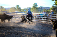 GundagaiCampdraft2017_0469
