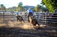 GundagaiCampdraft2017_0449