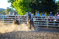 GundagaiCampdraft2017_0437